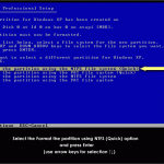 Format the partition using NTFS Tutorial 8: Select format using NTFS (Quick) and hit Enter
